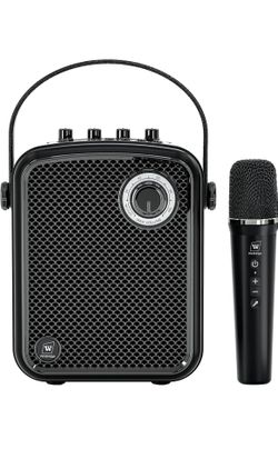 Portable Speaker And Microphone Set