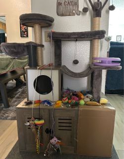 Cat Tree and Cat Toys