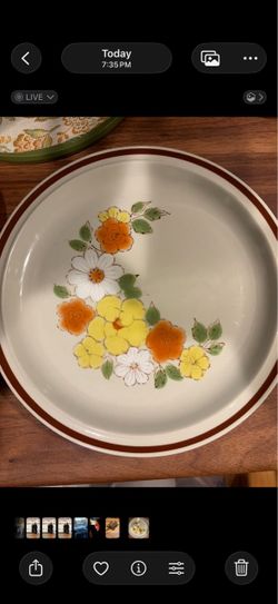 4 Vintage Floral Ceramic Dinner Plate