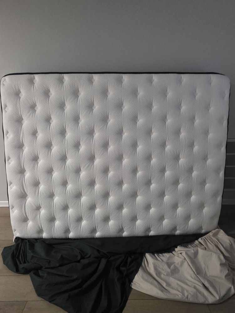 Queen Mattress - $50