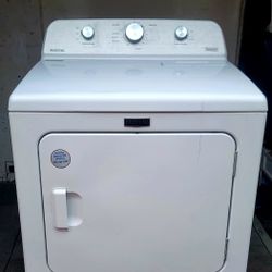 DRYER GAS 110 V LIKE NEW 