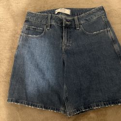 Jorts From Hollister