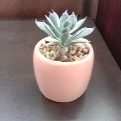 Succulent Greenery Artificial Plant Decor
