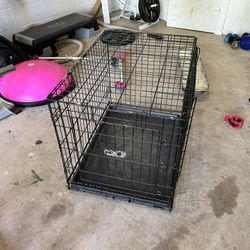 Puppies Crate 