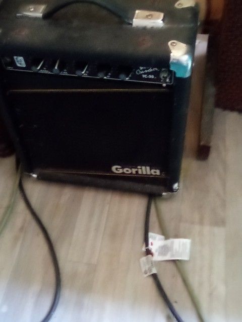 Musician Amp