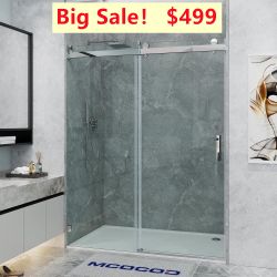 60 in. W x 66 in. H Double Sliding Frameless Shower Door in  with Smooth Sliding and 3/8 in. Glass