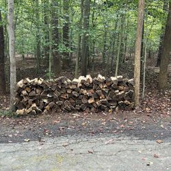 Firewood 