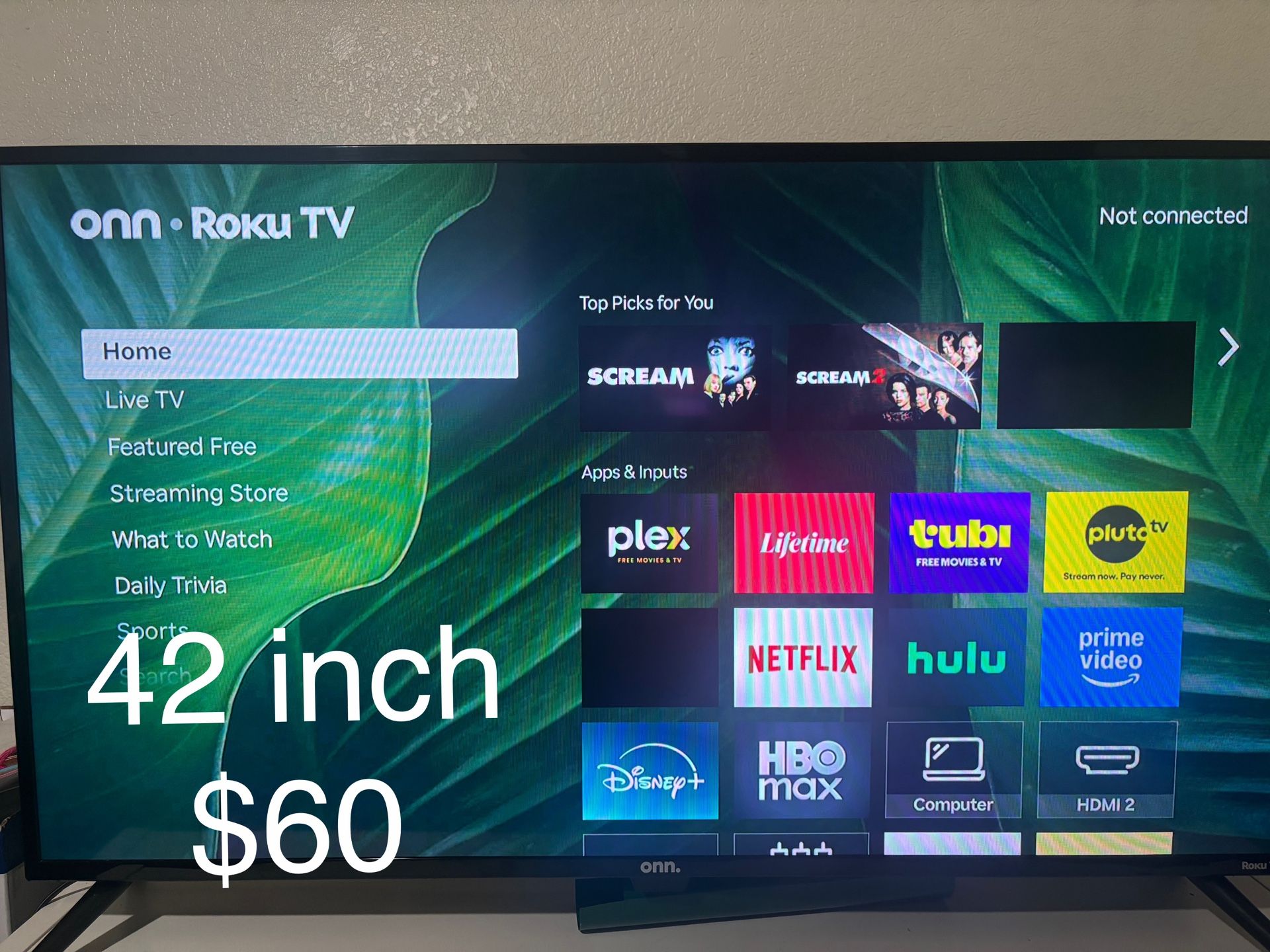 42 Inch Roku Tv