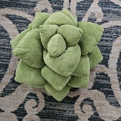 Succulent Pillow