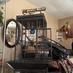 Bird Cage With Accessories 