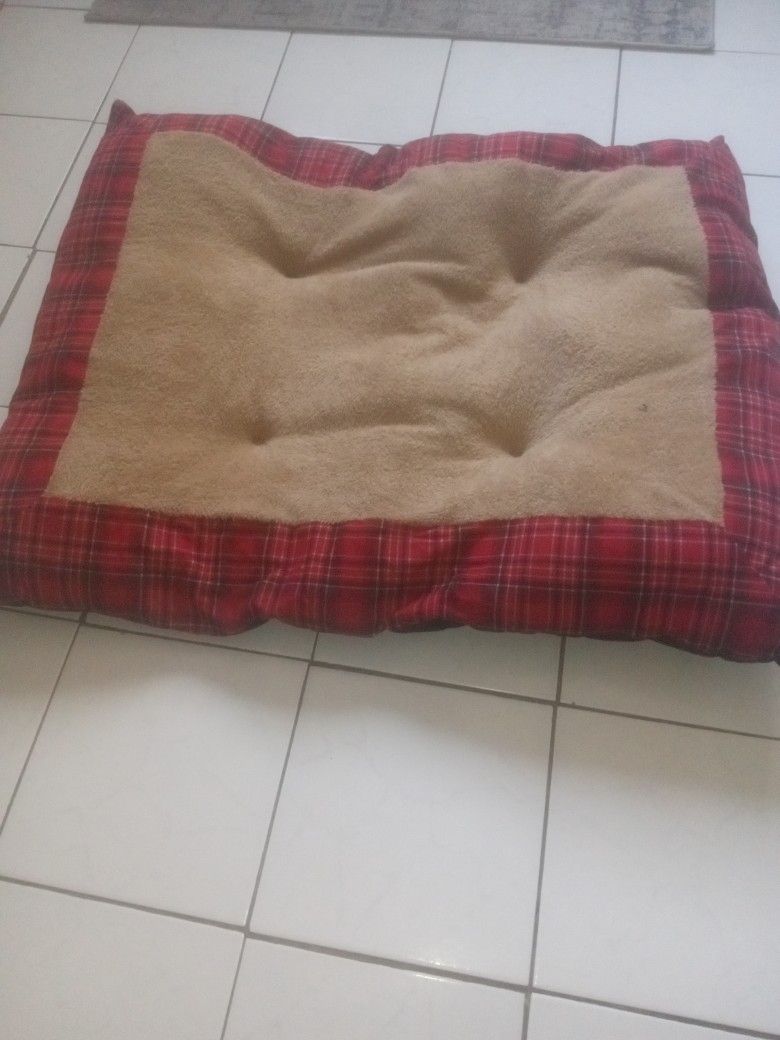 A Good Condition Large Dog Bed