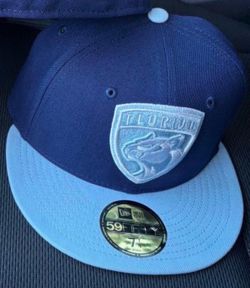 Florida Panthers hat