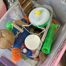 Hamster Stuff