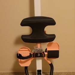 Rower/Ab Coaster 2 In 1