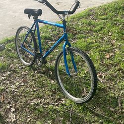 Men’s Bike