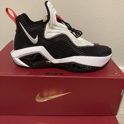 LEBRON Size 10/10.5