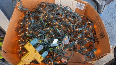 Free Christmas lights. I think they're net lights. But the box is free