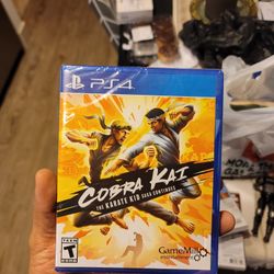 Cobra Kai: The Karate Kid Saga Continues - PlayStation 4