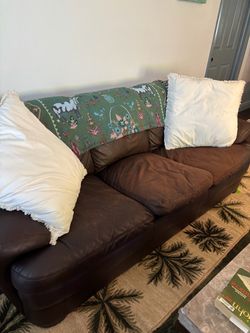 Queen couch/sofa bed