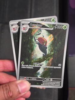 Accelgor ir