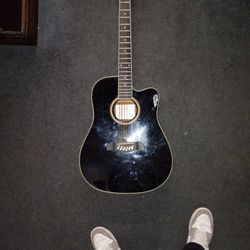 12 String Guitar,Oscar Schmidt 