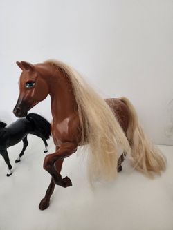 Horses Lot