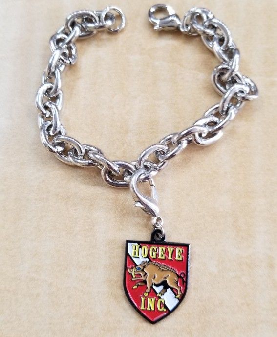 Stainless Steel Bracelet With HogEye Charm