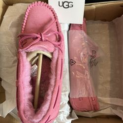 *Brand New* Dakota UGG Slippers