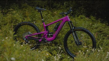WTB: 2024 SANTA CRUZ HECKLER **PLEASE READ AD**