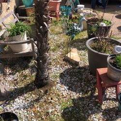 Free White Landscaping Rocks You Rake And Take