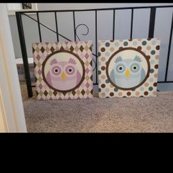 Owl Pics