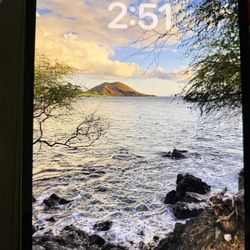 iPad Pro M4 - 11” / 256 GB