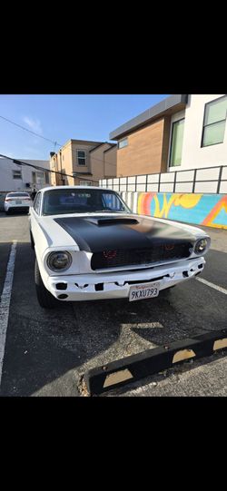 1966 Mustang