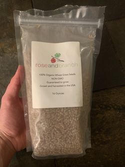 Organic Wheat Grass Seeds (16oz)