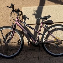 Sierra Quest 15 Speed Men's Mountain Bike