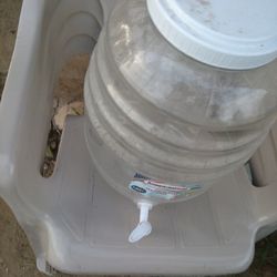 Vitrolero De 5 Gl 