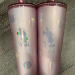 Disneyland And Walt Disney World Starbucks Tumblers 