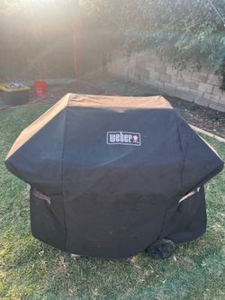 Weber spirit Grill BBQ Patio