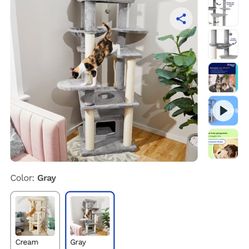 XL Cat Tree 🐱