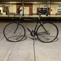 Trek Xl