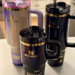 Wicked Stainless Steel Stanley Tumblers