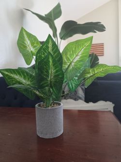 Artificial houseplant