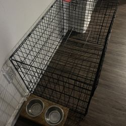 Dog Kennel 