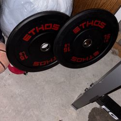 Two 15lb Rubber Weight Plates