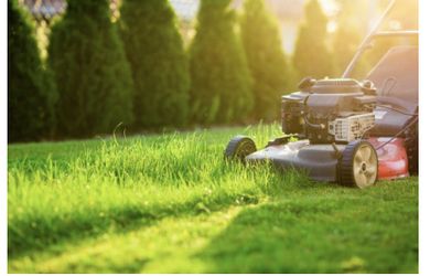 Lawn Care