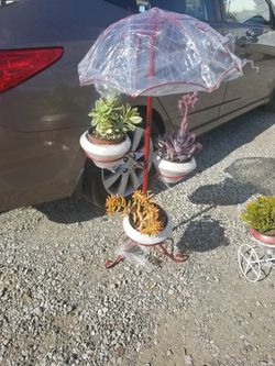 Maceteros de paraguas