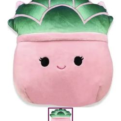 NEW Squishmallows Pink Succulent Plant Toy Plush Stuffed Animal 