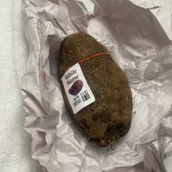 Jamaican White Yam Roots