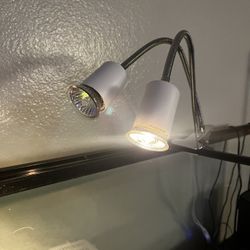 Reptile Heat Lamp, Dual