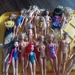 Bin Full Of Barbie Items
